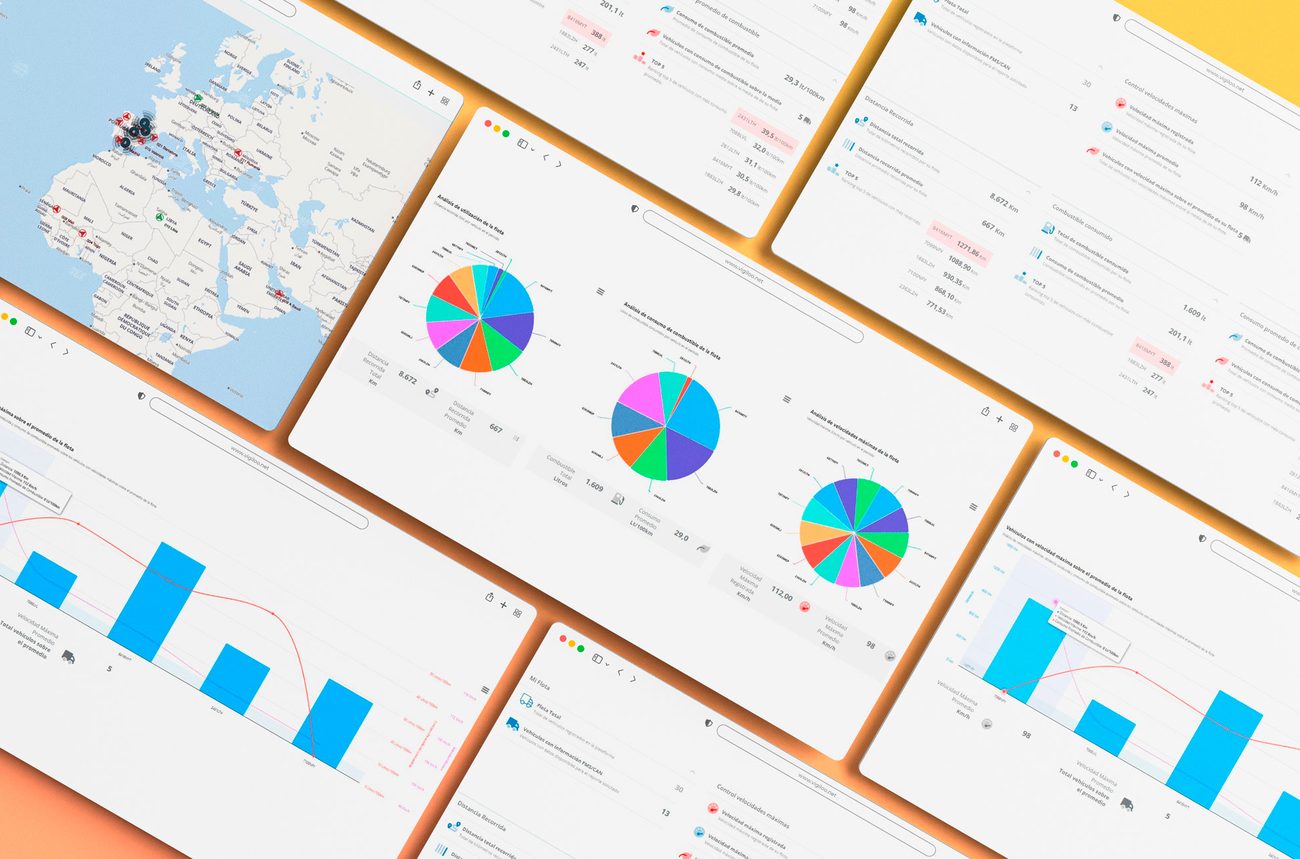 Fleet analytics reports with activity and fuel consumption charts